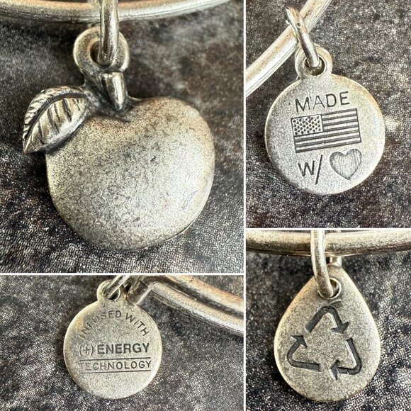 Alex and Ani Apple Charm Bracelet Silver Nature Expandable Bangle - Picture 2 of 14